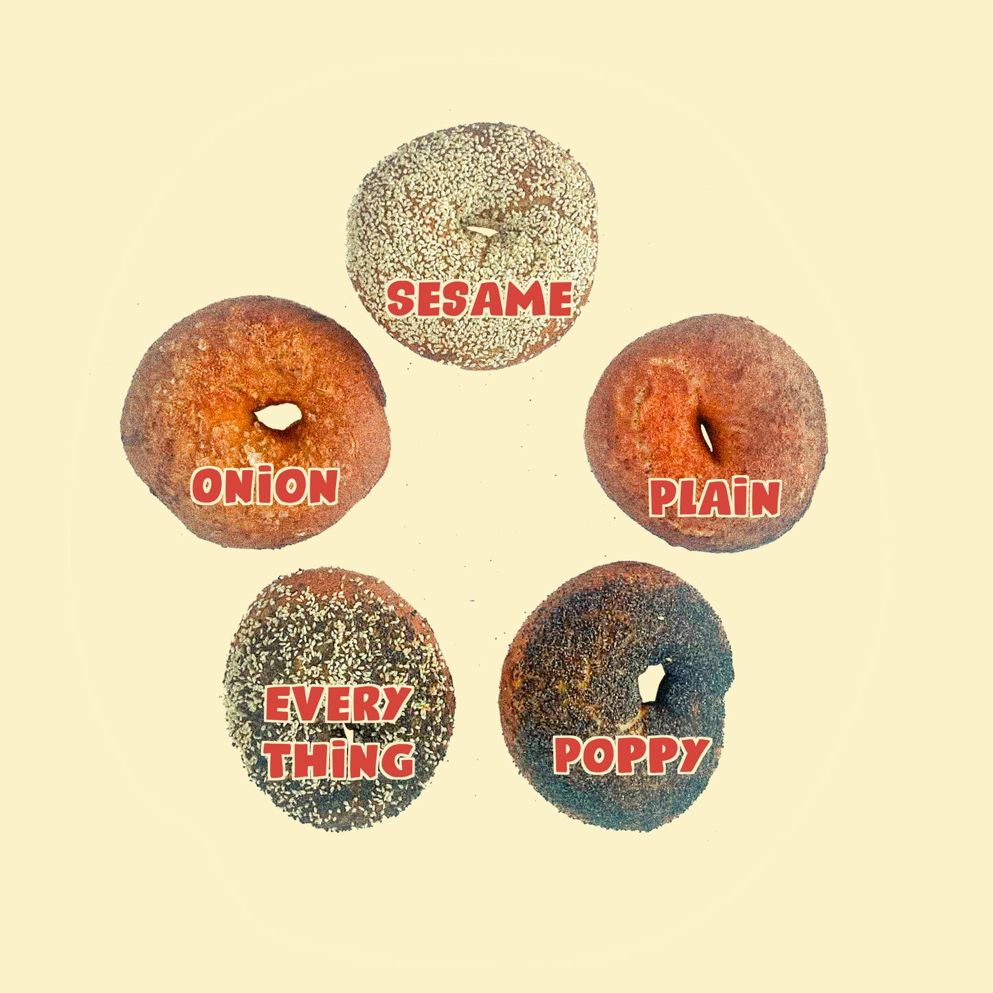 Everything Bagel